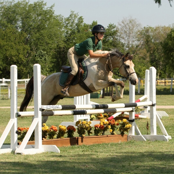 Horse jumping (hero) Rider and horse jumping at Trinity River Farm and Equestrian Center
