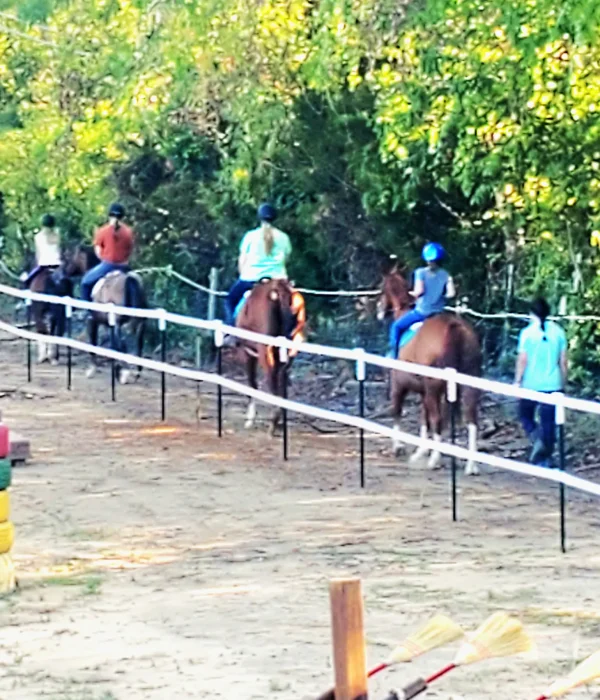 trf-welcome-obstacle-7 Trinity River Farm